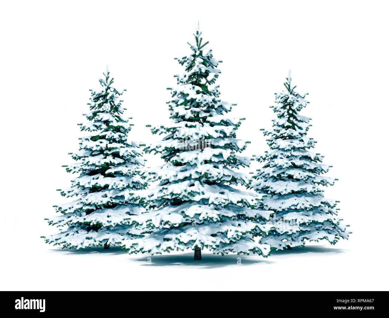 3d snow covered Christmas tree on white background Stock Photo - Alamy