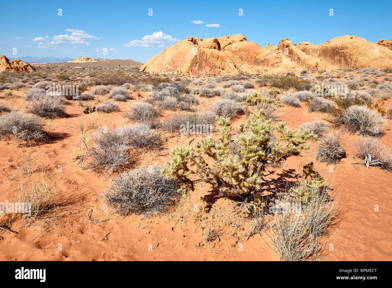 Wilderness of the Valley of Fire State Park, Nevada, USA. Stock Photo
