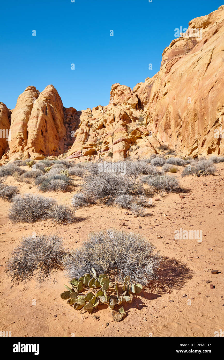 Wilderness of the Valley of Fire State Park, Nevada, USA. Stock Photo