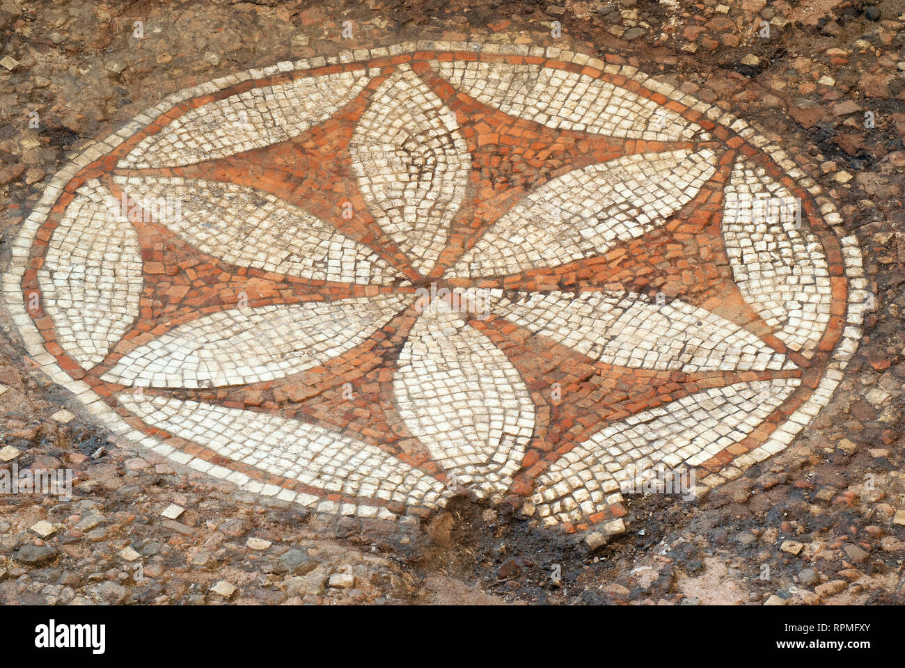 Ancient Roman Mosaic Floor High Resolution Stock Photography and Images ...
