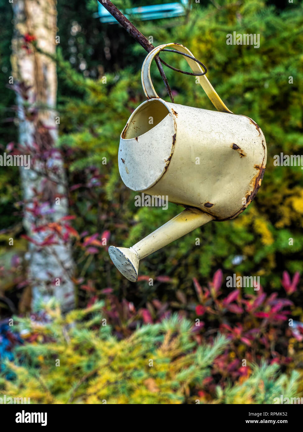 Old watering can as garden decorative element Stock Photo