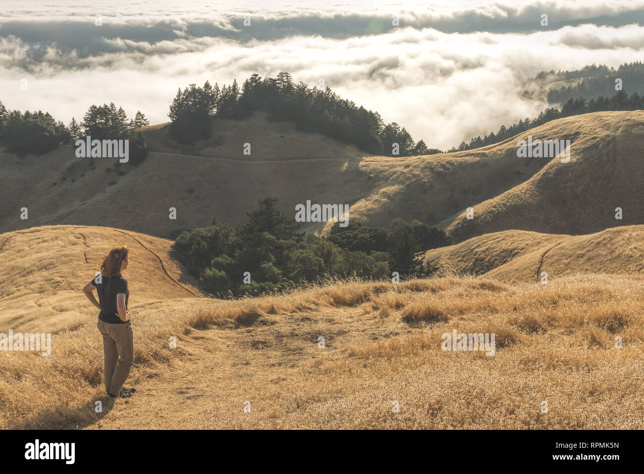 A woman looks out over the rolling hills of Mount Tamalpais, CA Stock Photo