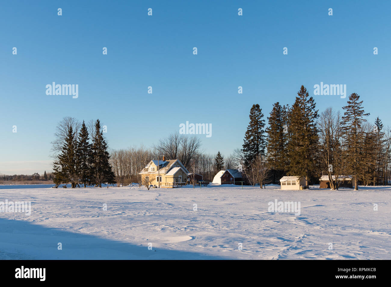 Snow covered field trees hi-res stock photography and images - Alamy