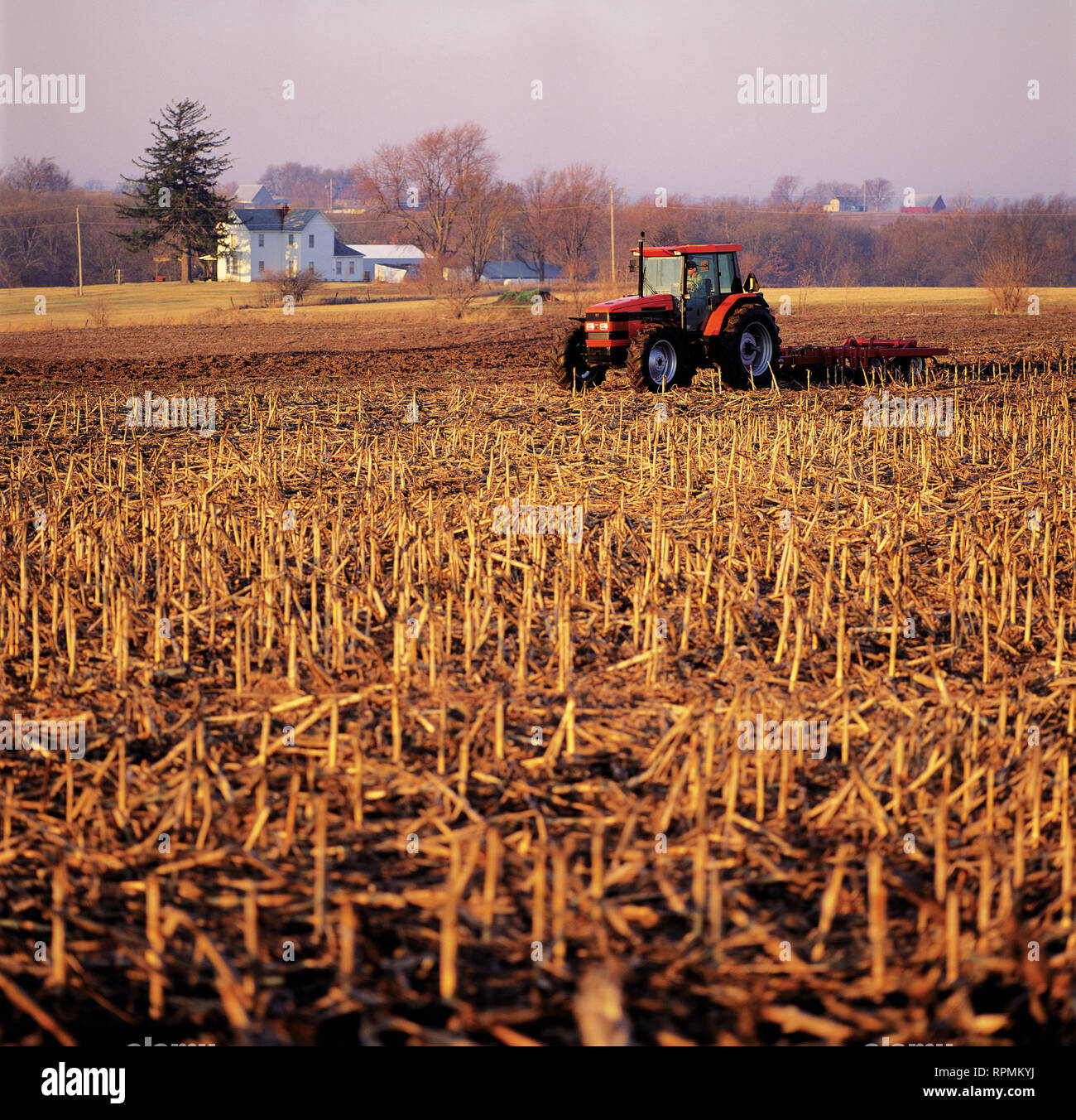Farm equipment working in a farm field of corn stalk stubble Stock