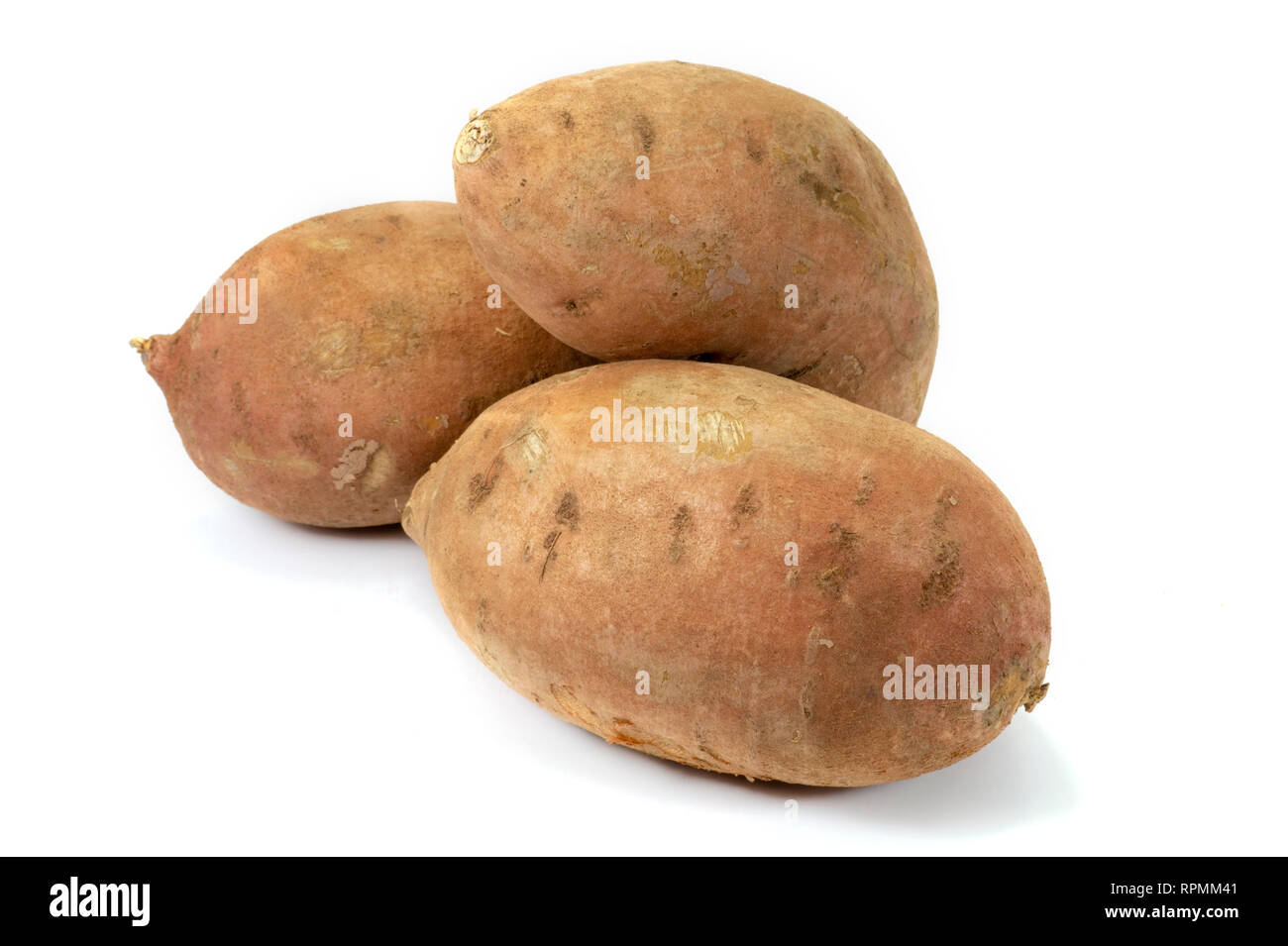 Potatoe Ipomoea batatas stock photo. Image of potato - 154975592