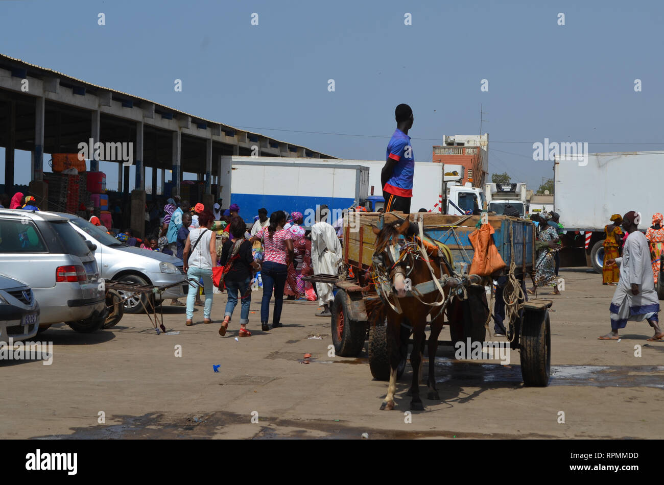 Trucks at the parking lot of Mbour fish market Stock Photo Alamy