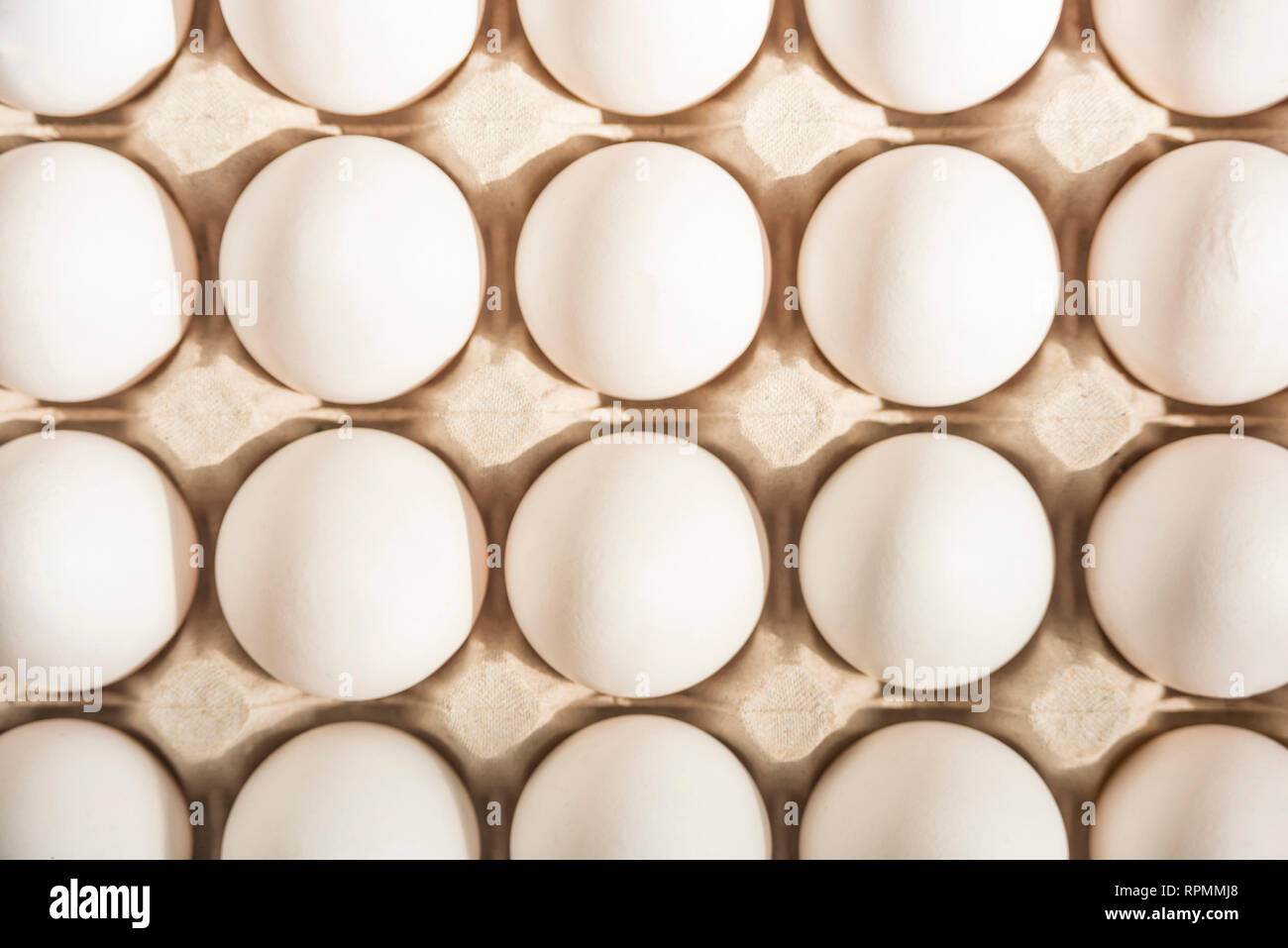 Many white eggs in egg carton Stock Photo Alamy