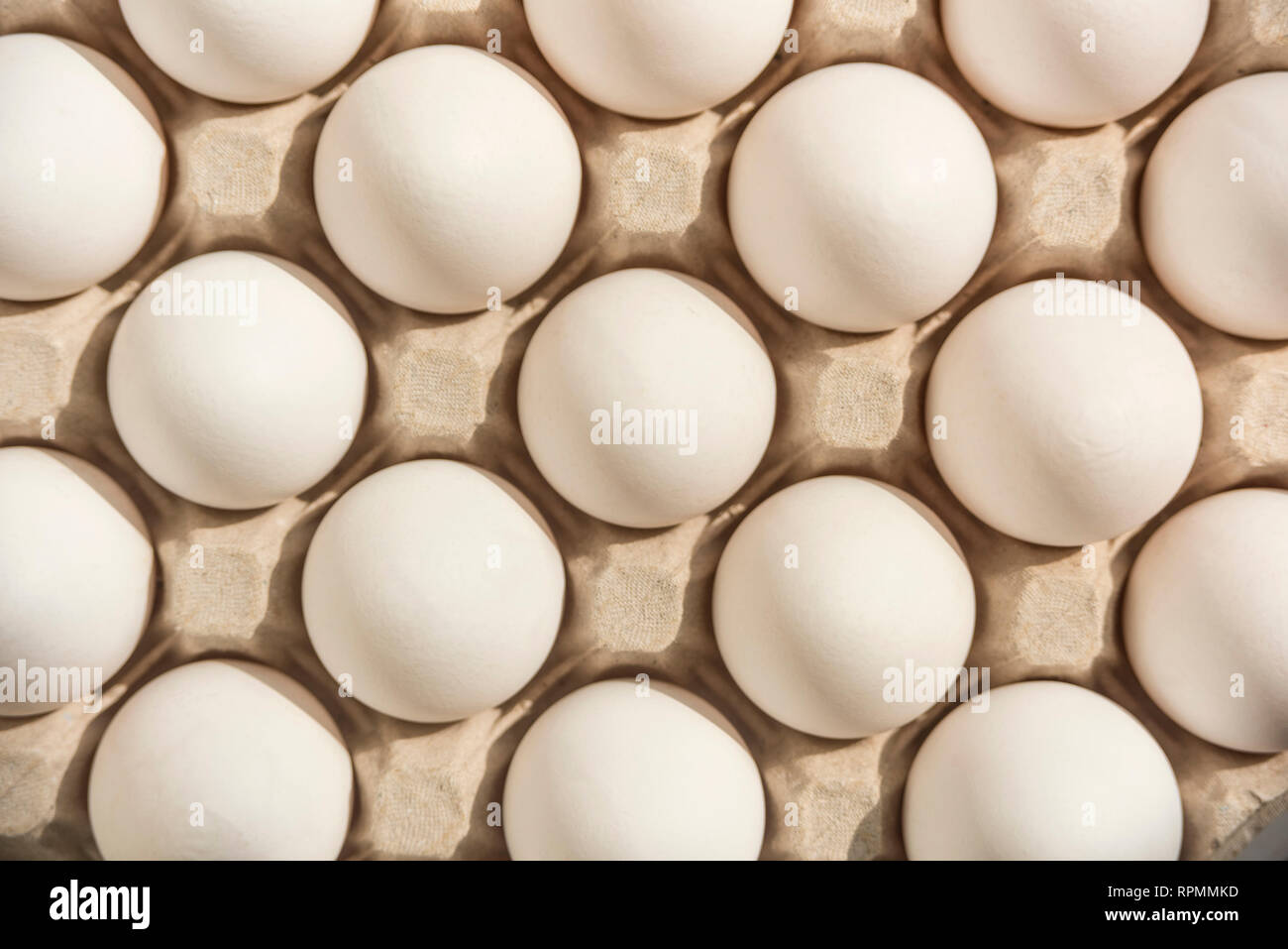 Many white eggs in egg carton Stock Photo Alamy