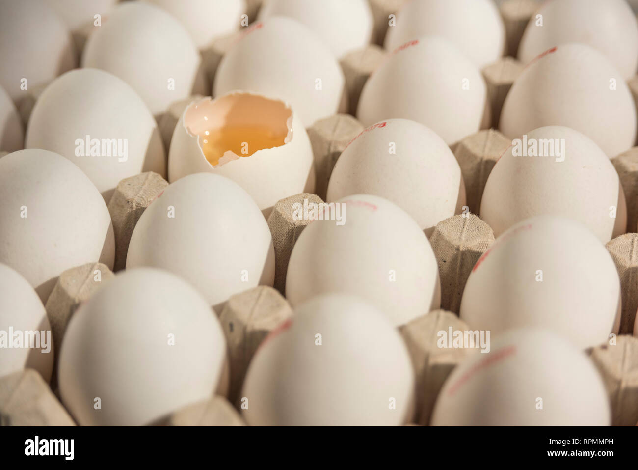 Many eggs in egg carton, one broken egg shell with visible egg yolk