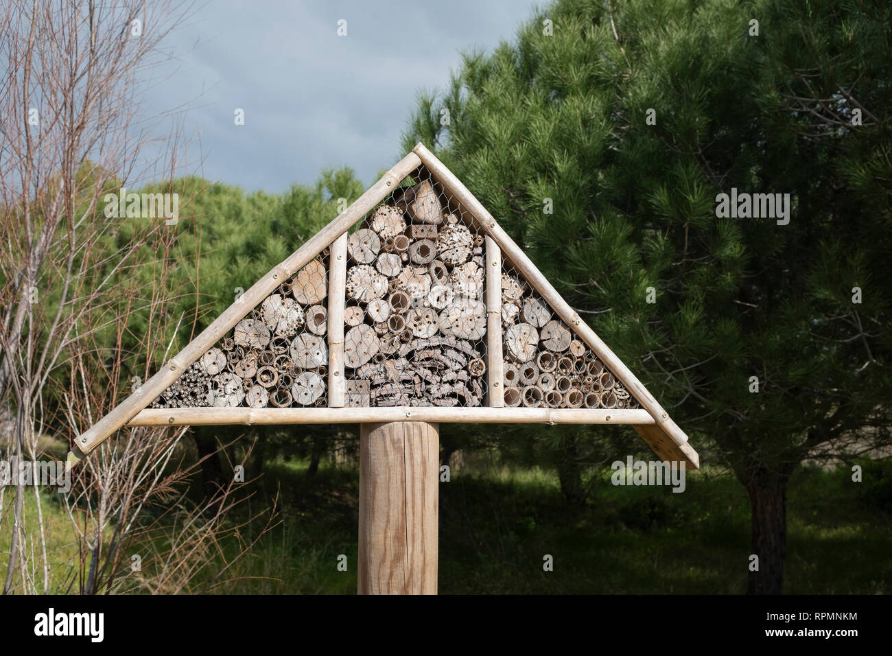 Wooden insect box to attract  local insects and bugs. Natural Areas of the Llobregat Delta. Barcelona province. Catalonia. Spain. Stock Photo