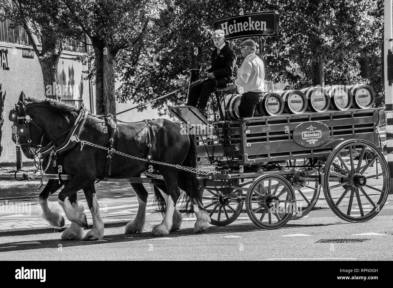 Heineken Horse And Carriage At Amsterdam The Netherlands 2018 In Black And White Stock Photo