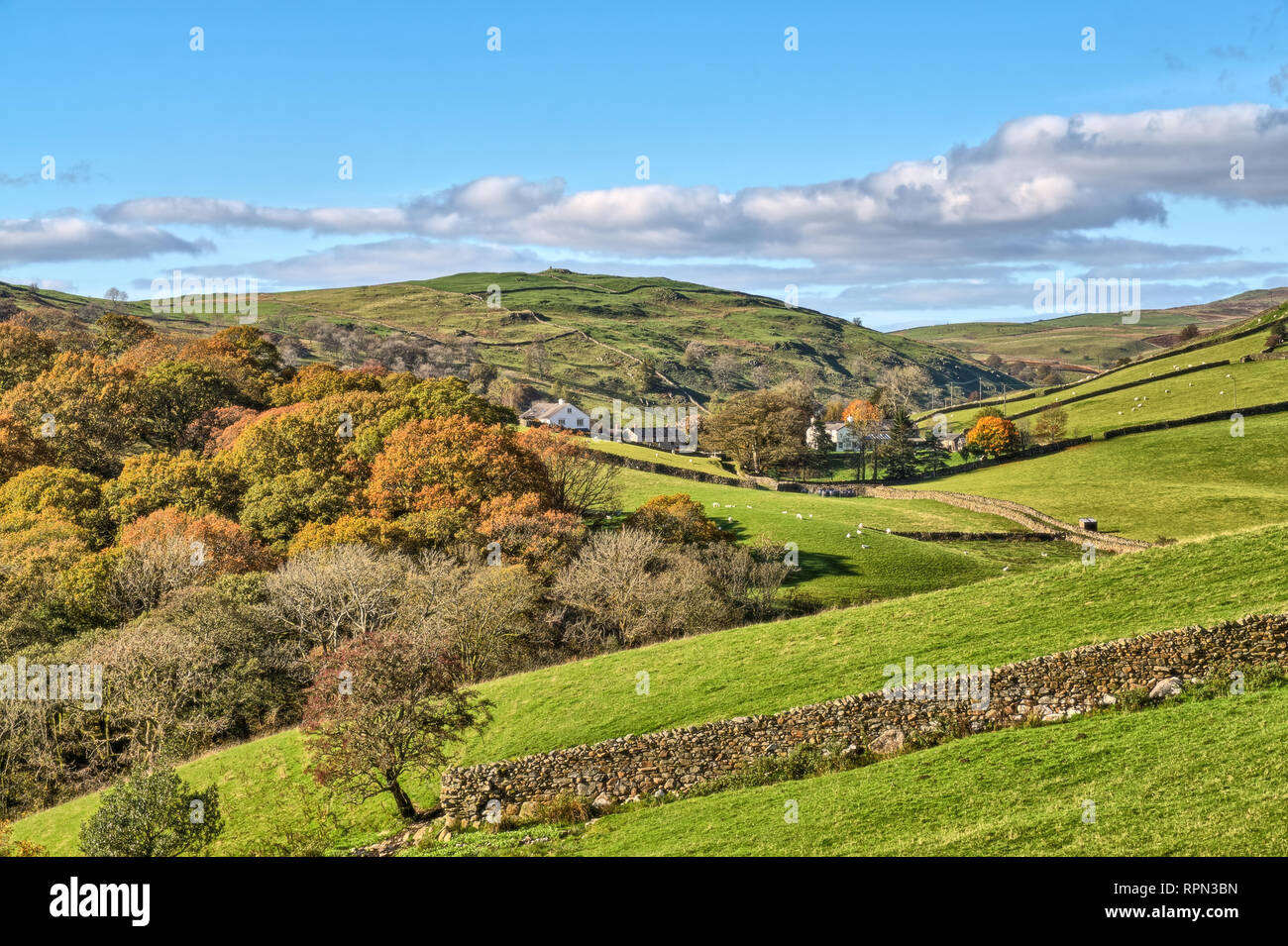 A rural English scene with Autumn trees. Stock Photo
