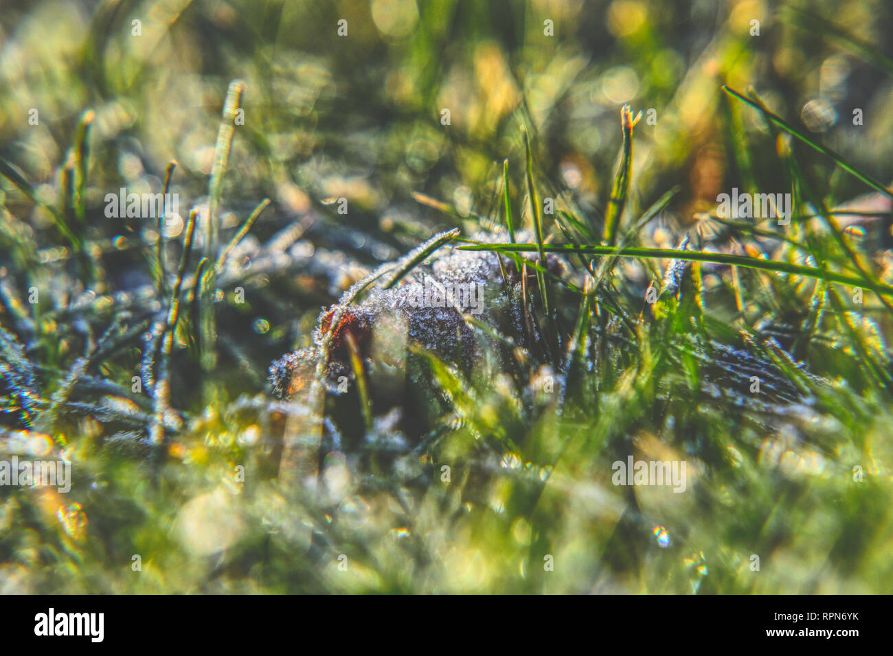 A harmony hi-res stock photography and images - Alamy