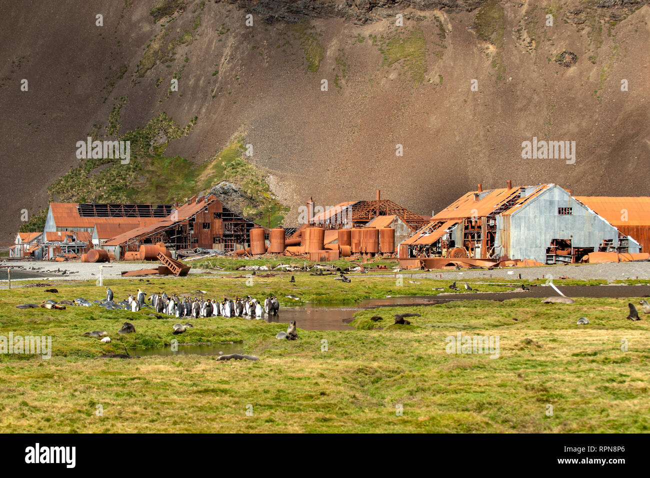Stromness Whaling Station, Stromness Harbour, South Georgia Stock Photo