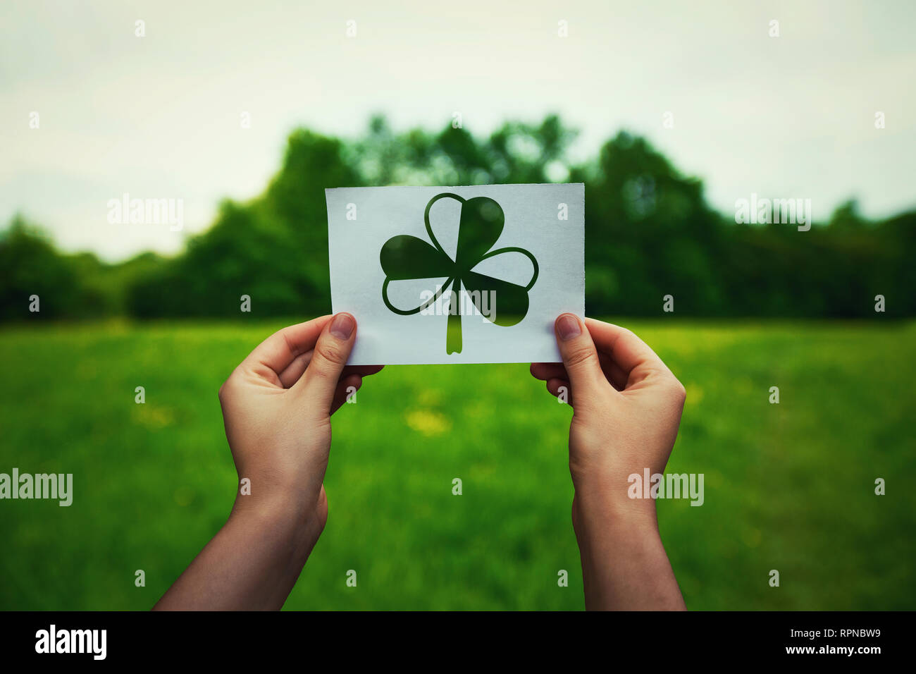 st patricks day cele zajęć