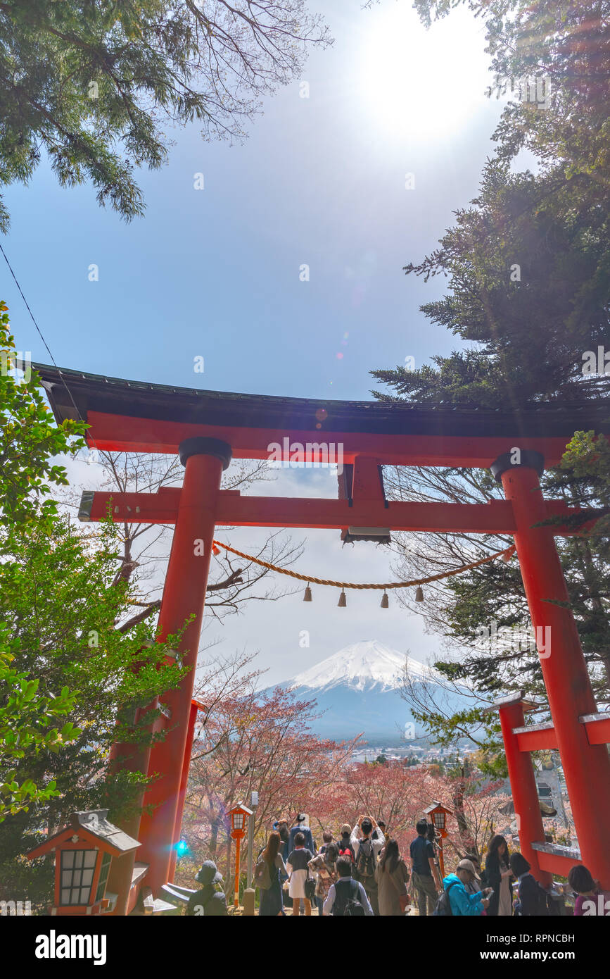 Torii Gate with Mount Fuji ( Mt. Fuji ) in cherry blossoms springtime sunny day with clear blue sky natural background. Arakurayama Sengen Park Stock Photo