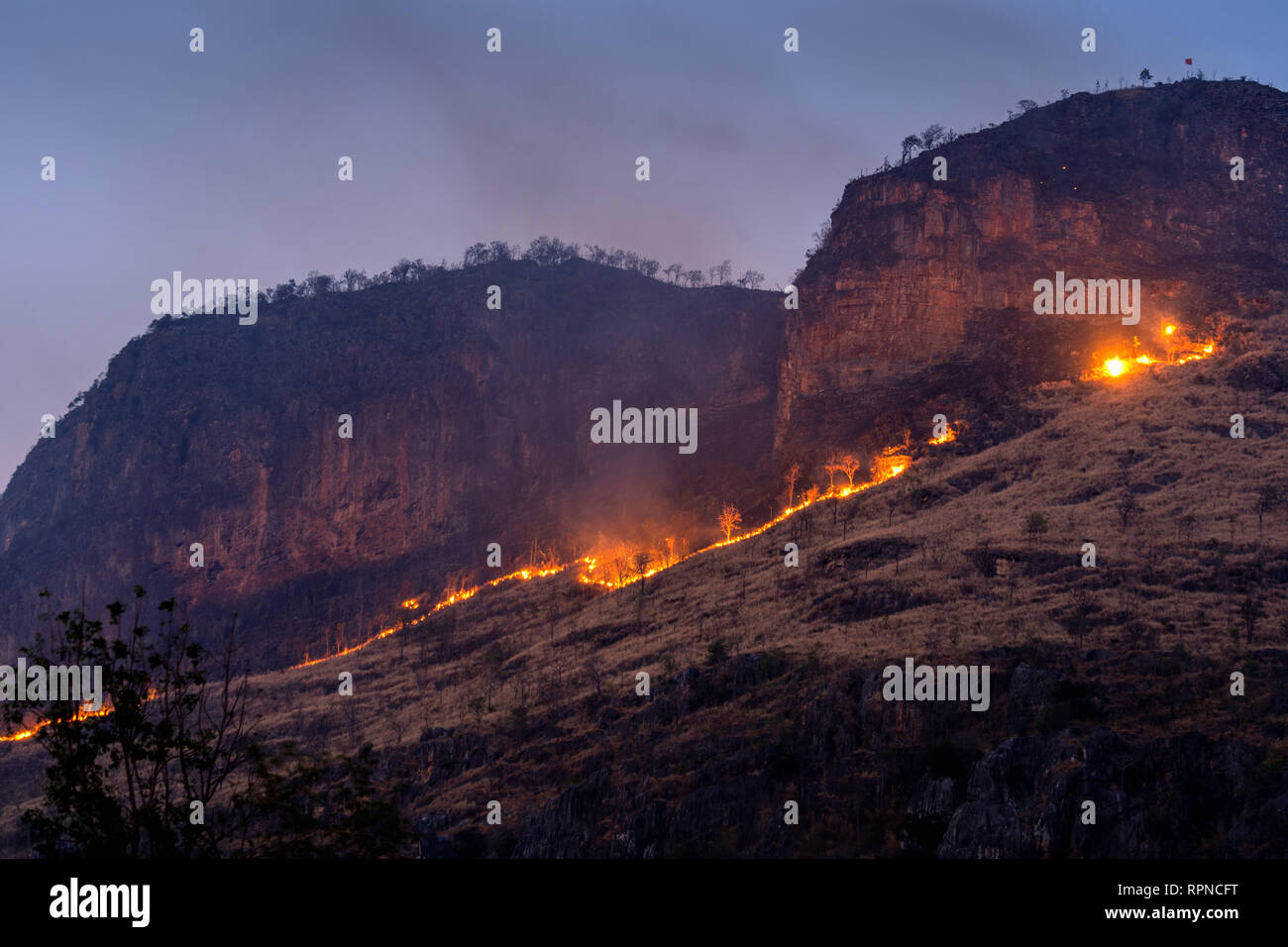Forest fire on mountains Stock Photo Alamy
