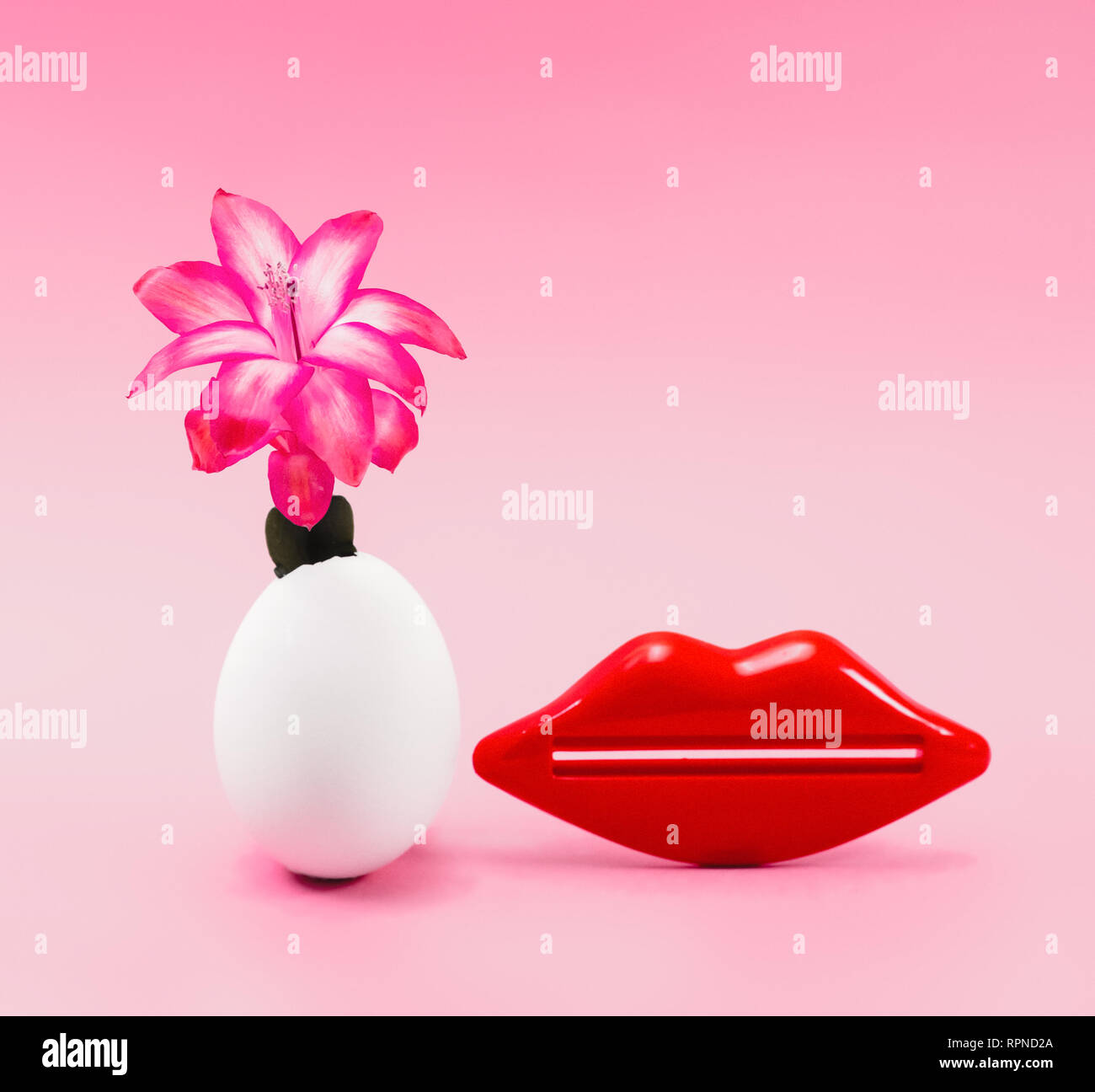 red flower growing in an egg shell concept. next to a red kiss from the lips. pink background Stock Photo