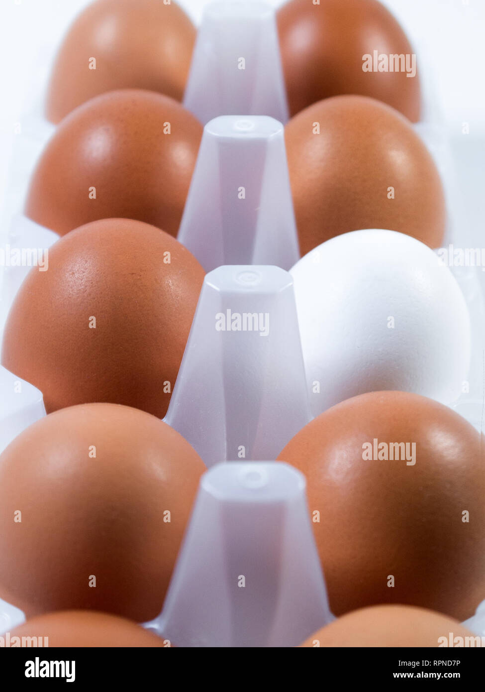 Fresh chicken eggs white and brown in plastic packing, background Stock Photo