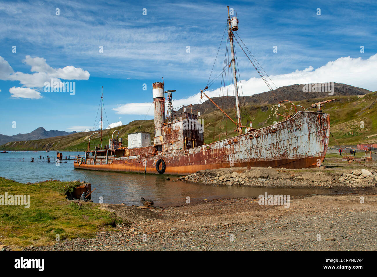 Wreck of the Petrel at Grytviken, South Georgia Stock Photo