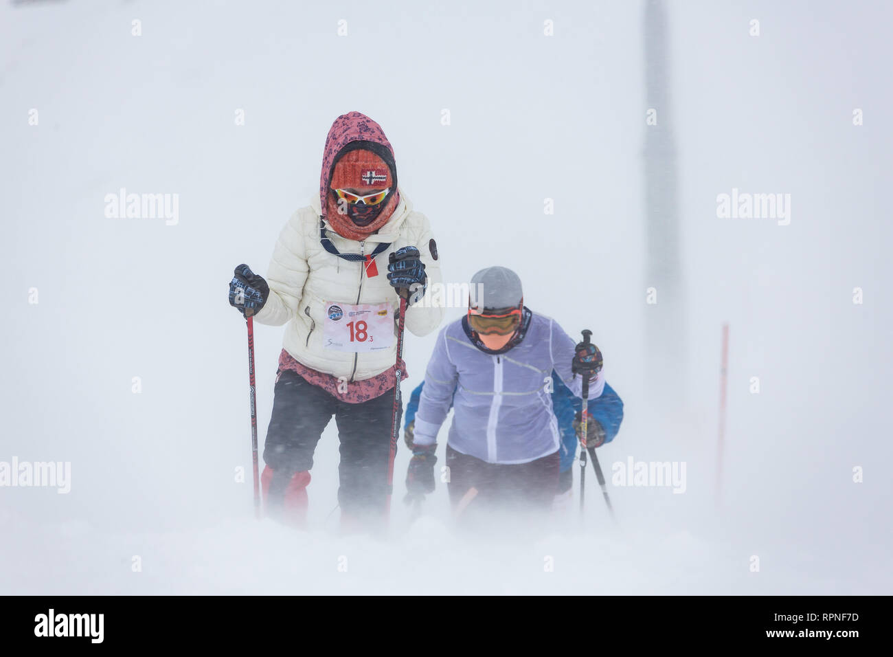 ALMATY KAZAKHSTAN - FEBRUARY 03 2019: Unidentified people walk through a snowstorm during the AlpineRais competition in the mountains during the Stock Photo