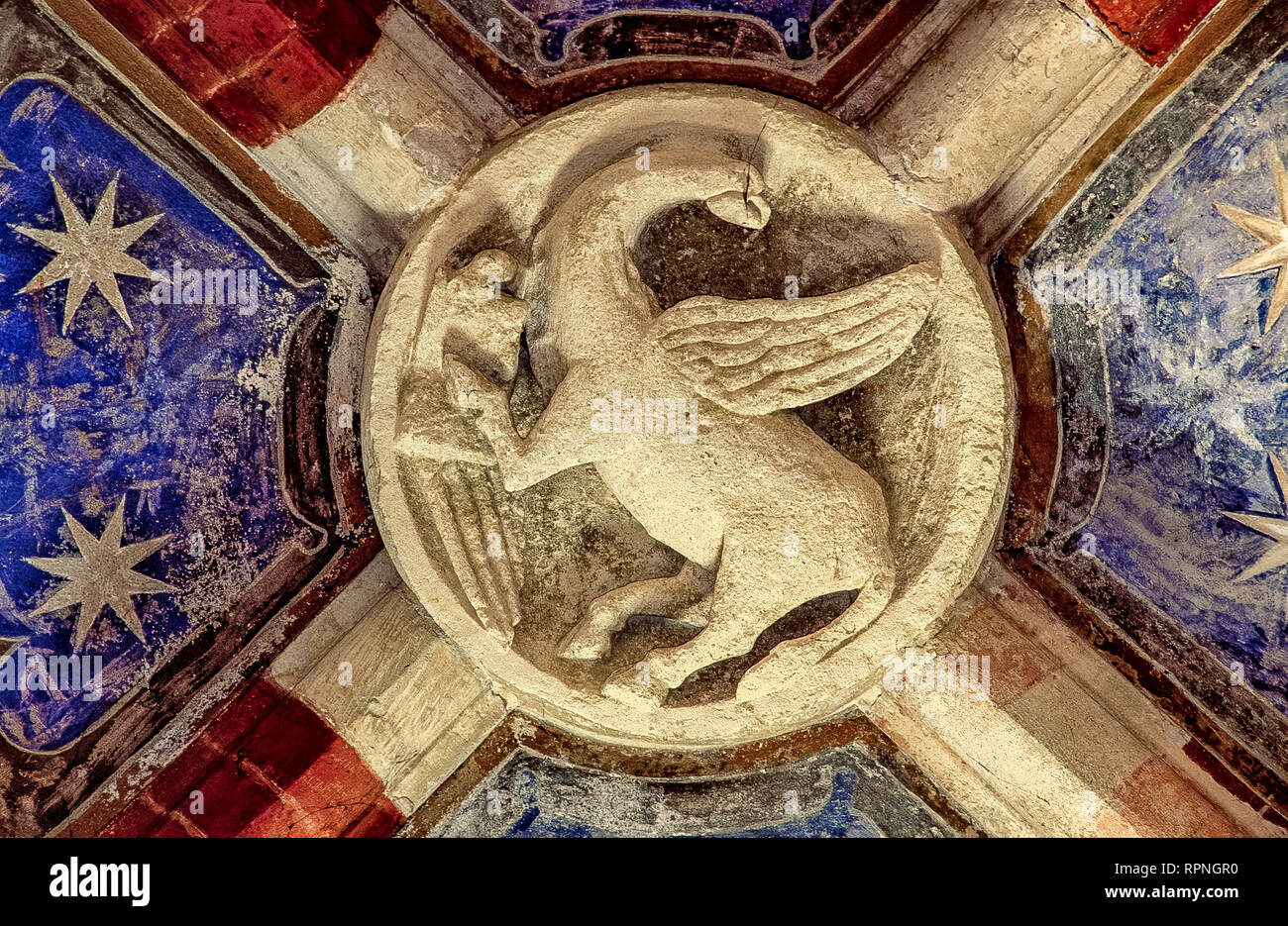 Italy Piedmont Vercelli Santâ€™Andrea Basilica -  particular of vault in left aisle Stock Photo