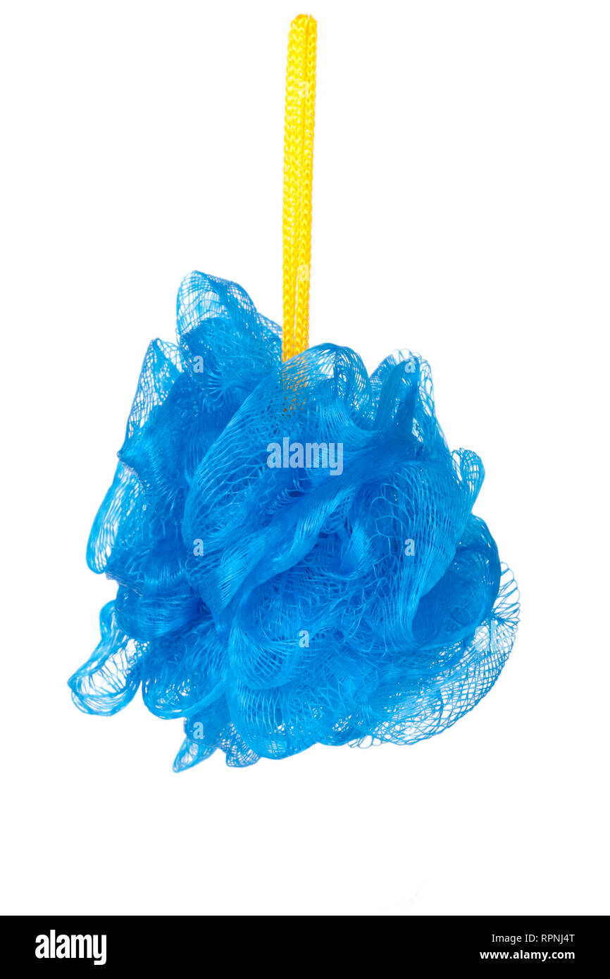 blue sponge shower isolated on white background Stock Photo Alamy