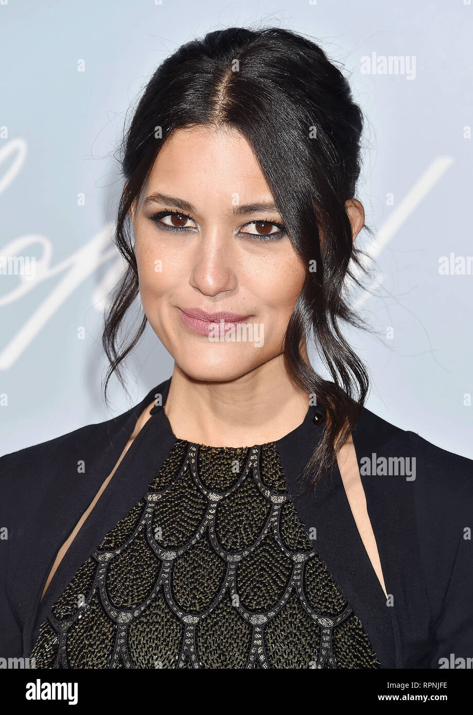 LOS ANGELES, CA - FEBRUARY 21: Julia Jones arrives at the Hollywood For ...