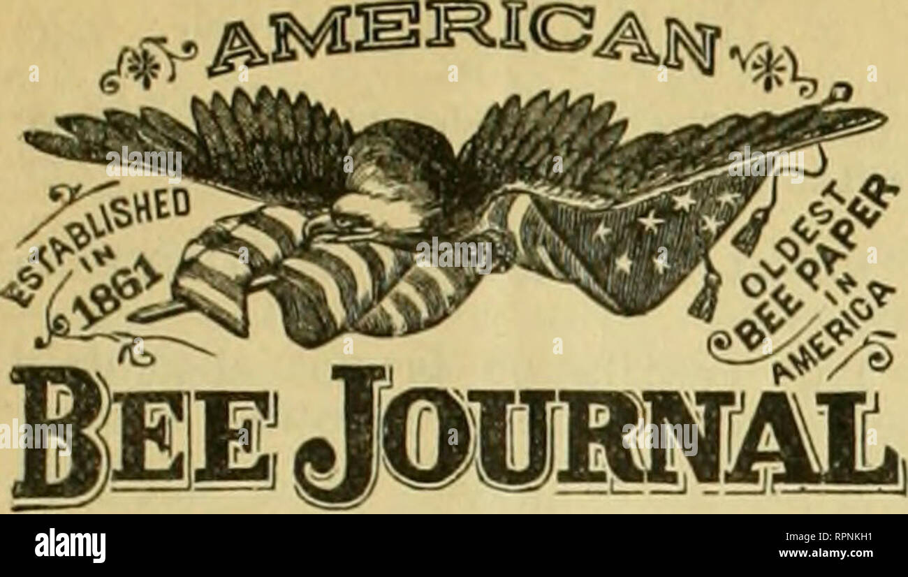 . American bee journal. Bee culture; Bees. THE AMERICAN BEE JOURNAL. 771. THOMAS G. NEWMAN, mnil, Dec, 8,1886. No,49. The Editor is at his post—not yet re- stored to health, but improving slowly. Vic. Clougb, says the News of Geneseo, Ilia., had an observation hive flUed with bees at the Exposition in Henry county. When a Man begins by declaring he has something to say to you &quot; in all love and kindness,&quot; look out for Cayenne-pepper and vitriol before he gets through. Honey in the mouth—a sting in the tail. ITIr. K. F. Holteruianii writes to us (that he finds no fault, under the circu Stock Photo