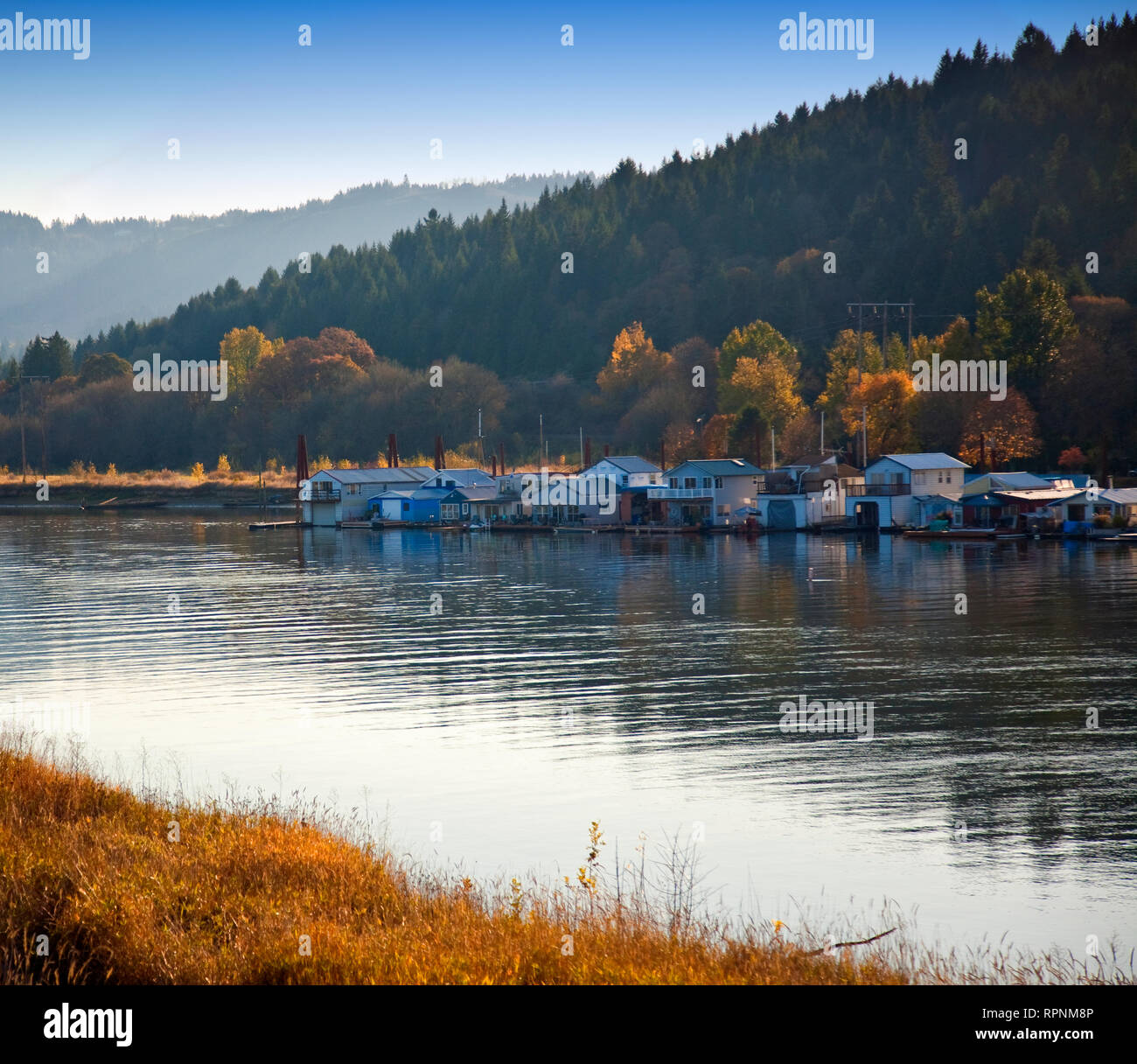 Houseboats on Sauvie Island, Oregon Stock Photo Alamy