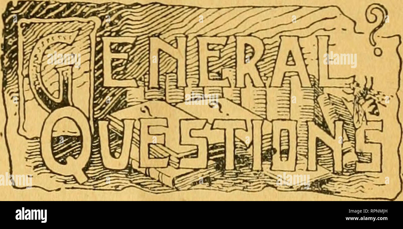 First american english dictionary hires stock photography and images