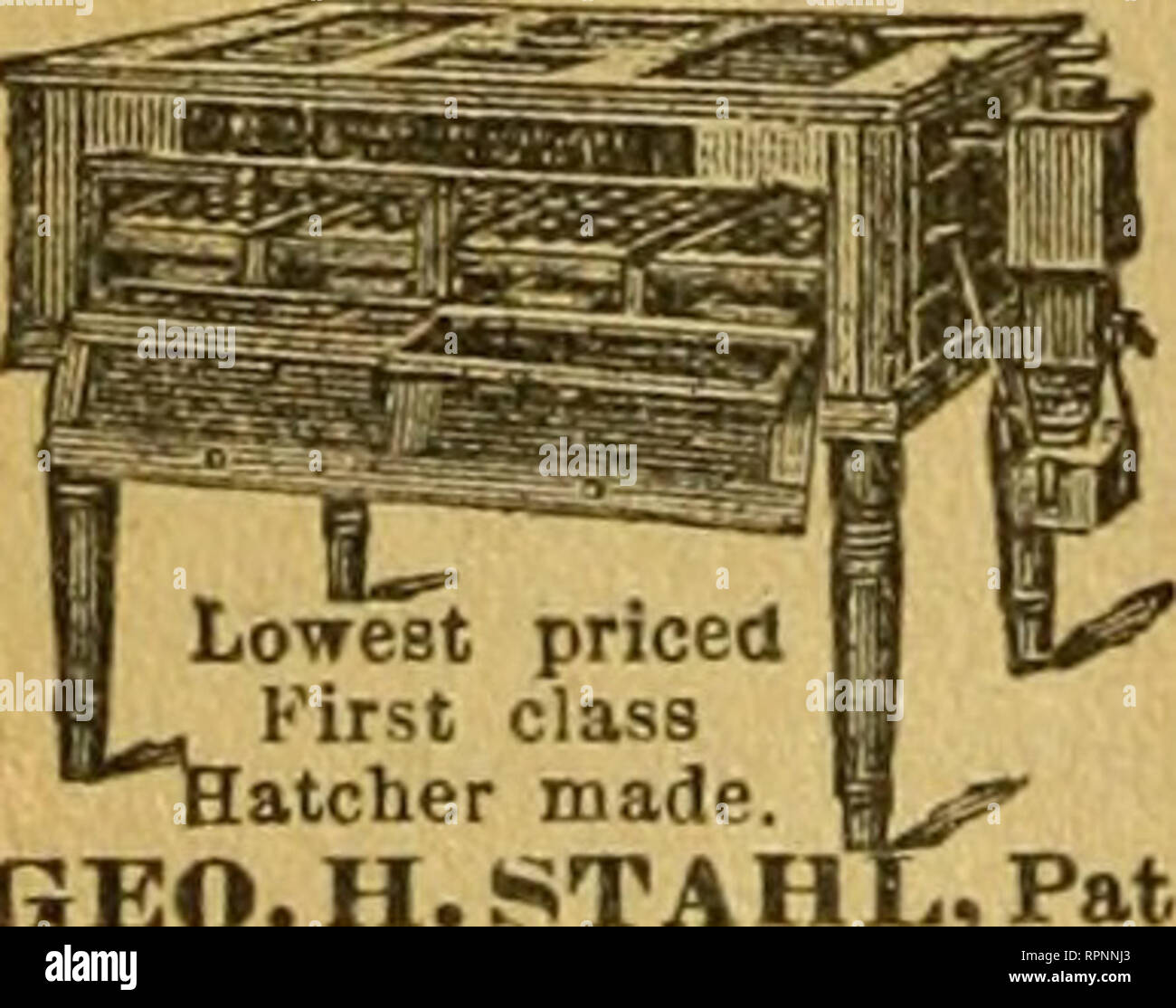 American bee journal. Bee culture; Bees. HATCH CHICKENS BY STEAM WITH THE  IMPROVED EXCELSIOR INCUBATOR.. Lowest priced First ell atelier n  GEO.H.STAFfl Thousands in Sue cessful Operation. SIMPLE, PERFECT, and SELF-