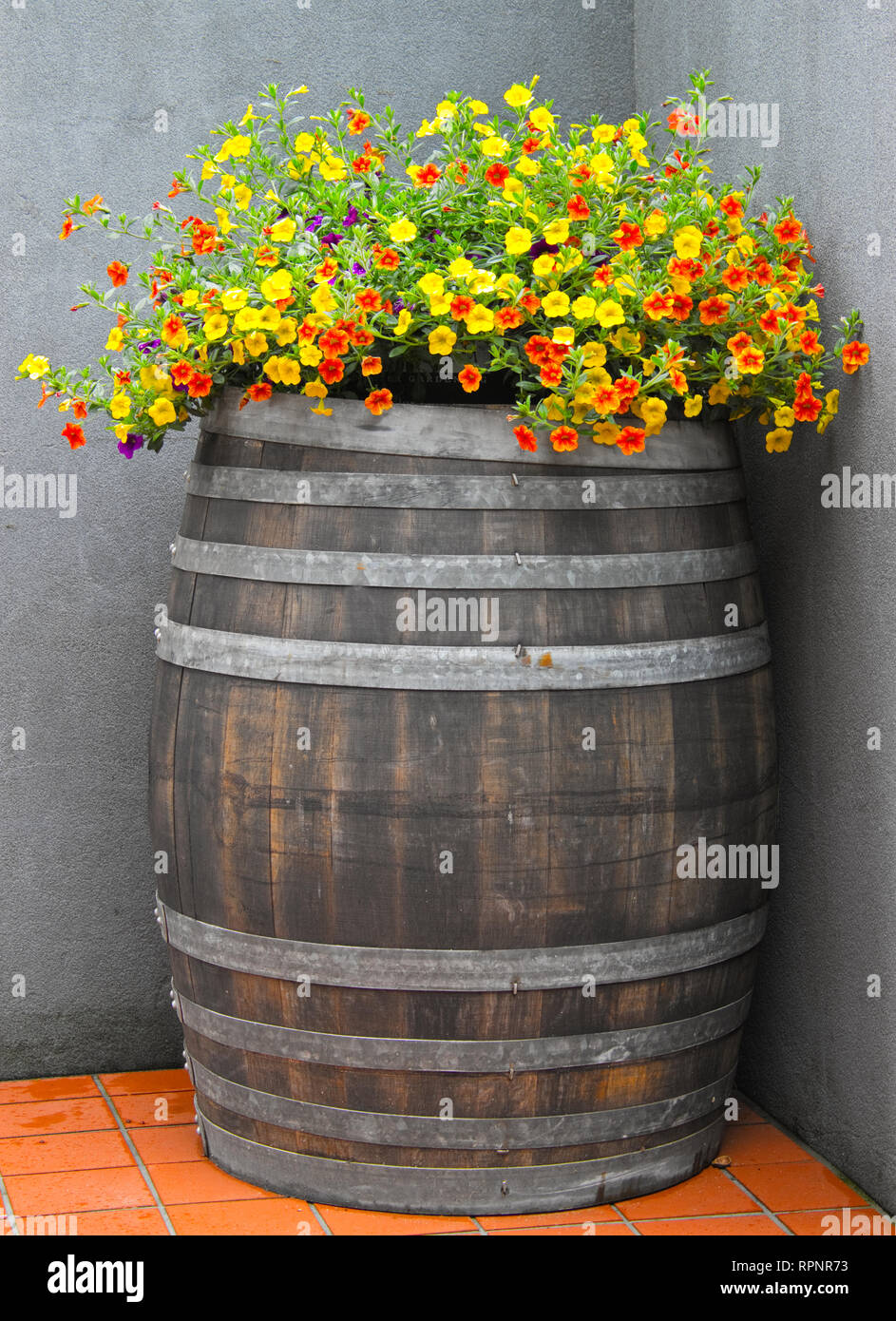 Wine Barrel Planter Stock Photo - Alamy