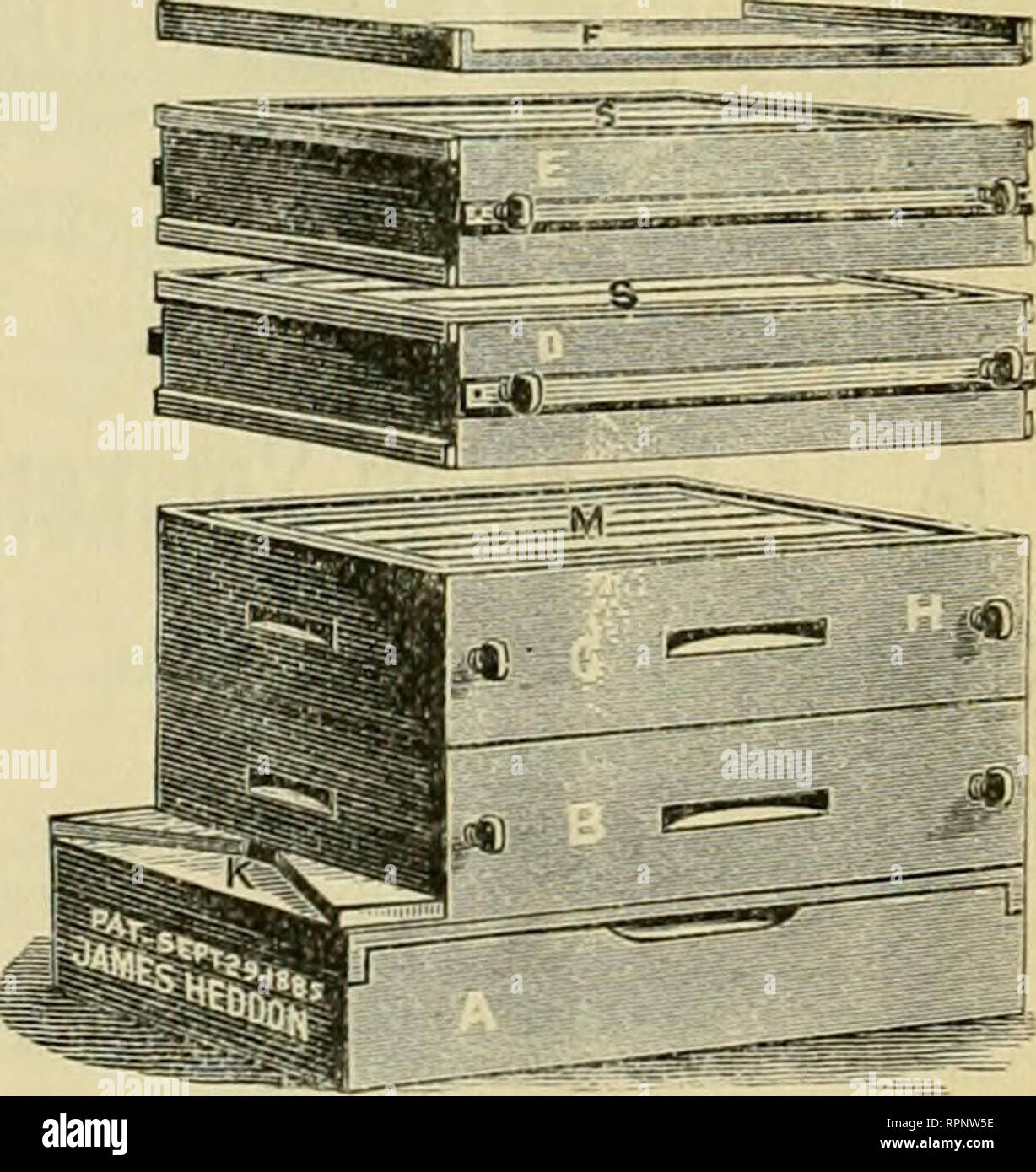 American Bee Journal Bee Culture Bees A Warded First Premium