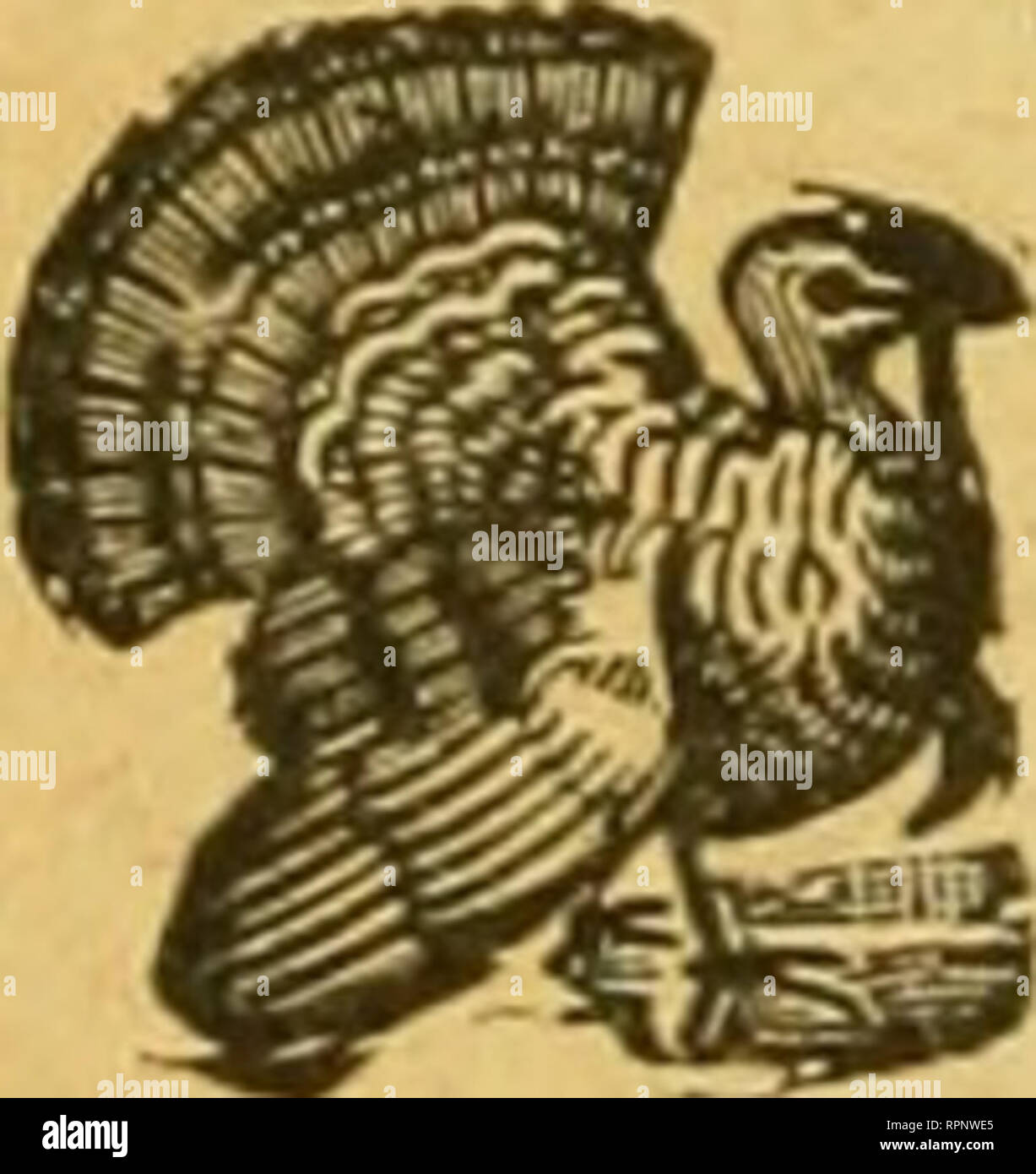 American Bee Journal Bee Culture Bees Globe Bee Veil By Iffail For 1 00 A Center Rivet Holds 5 Spring Steel Cross Bars 1 Ike A Globe To Support The Bobinetveil These Button