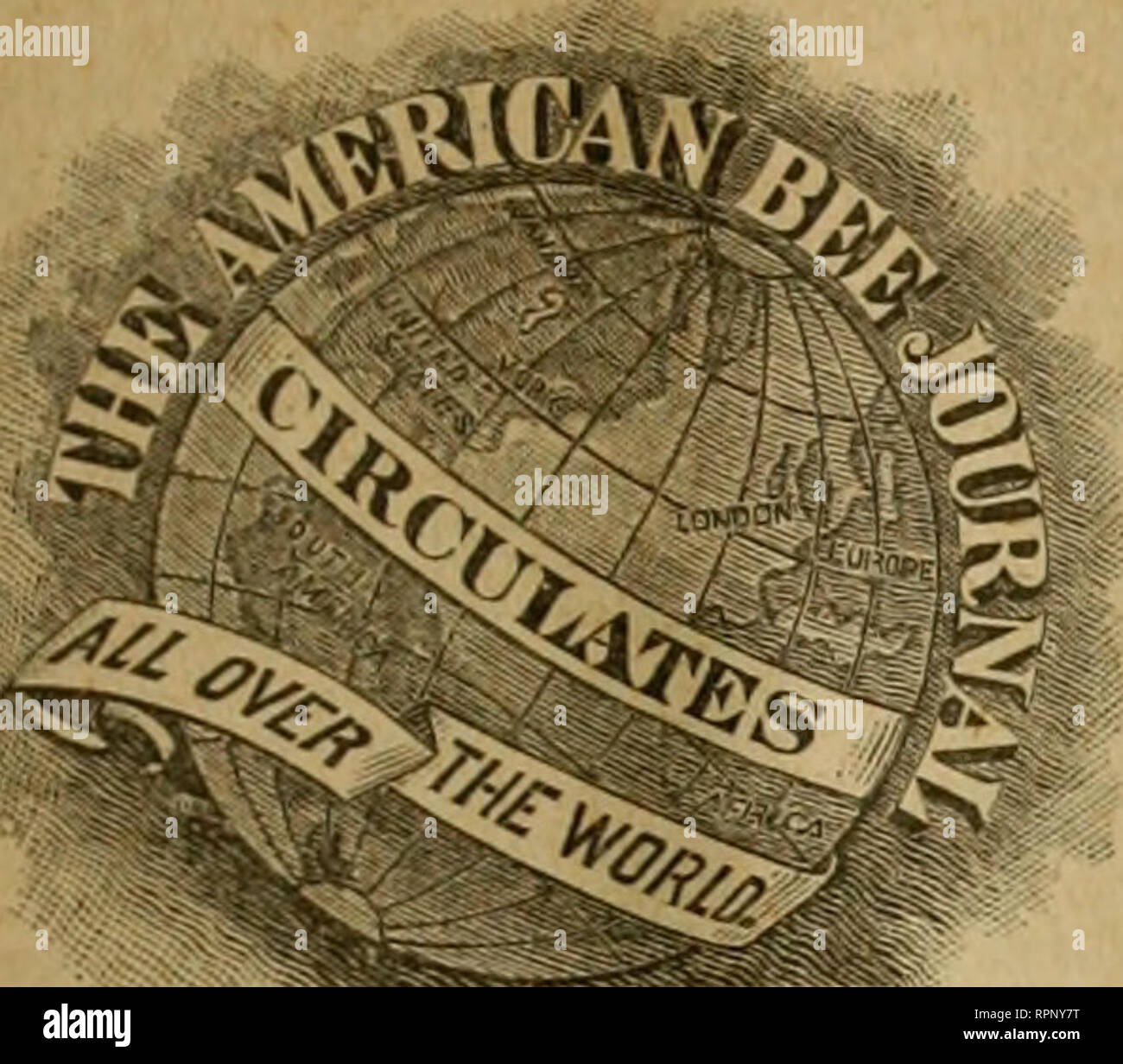 American Bee Journal Bee Culture Bees Tmm American Bsee Jo