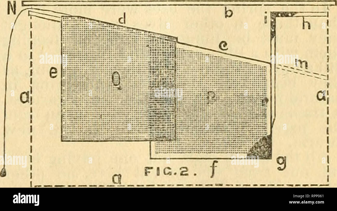American Bee Journal Bee Culture Bees You Can Open My Cage The