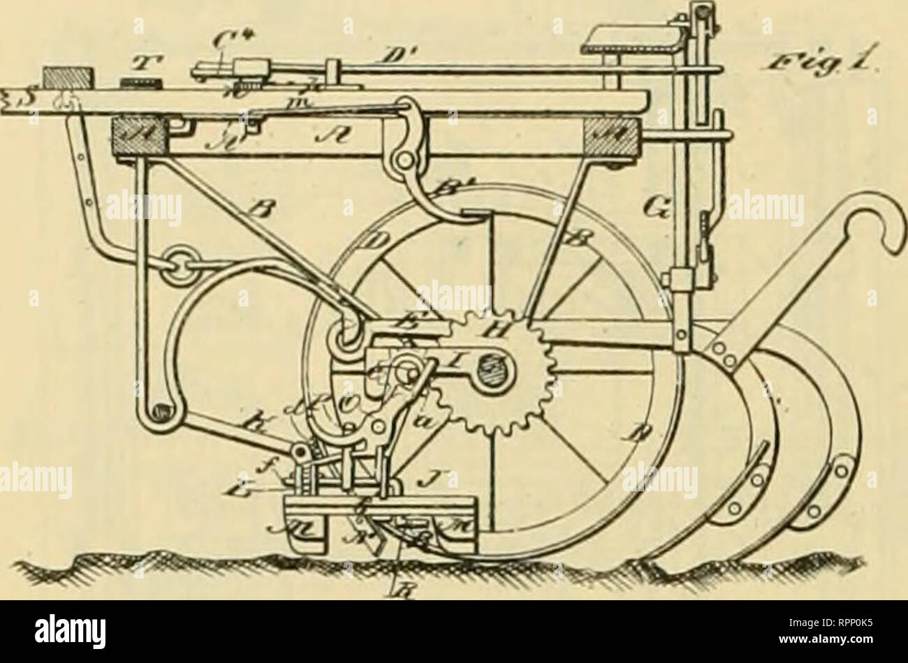 Vegetable Cutting Machine model TITUS