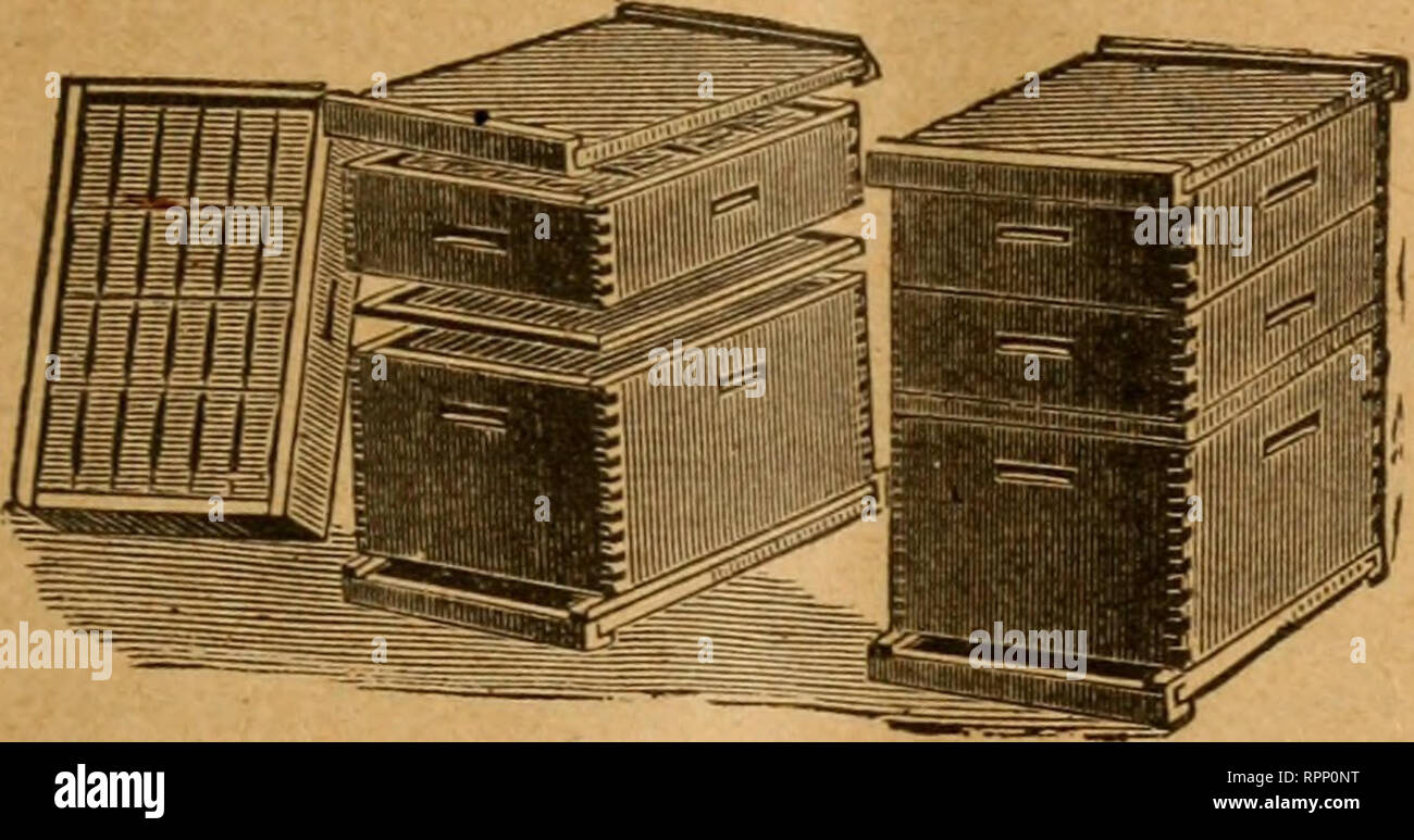 American Bee Journal Bee Culture Bees American Bee Journal 459