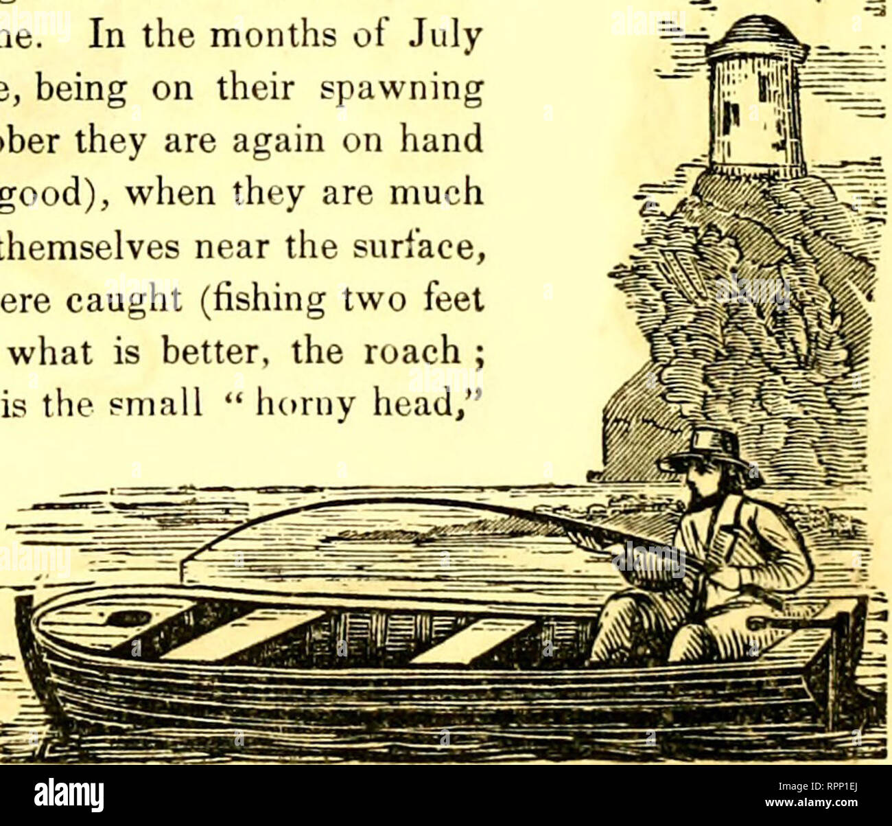 American Angler S Guide Or Complete Fisher S Manual For The United States Containing The Opinions And Practices Of Experienced Anglers Of Both Hemispheres With The Addition Of A Second Part American Angler S Guide Or Complete Fisher S Manual For The United States Containing The Opinions And Practices Of Experienced Anglers Of Both Hemispheres With The Addition Of A Second Part