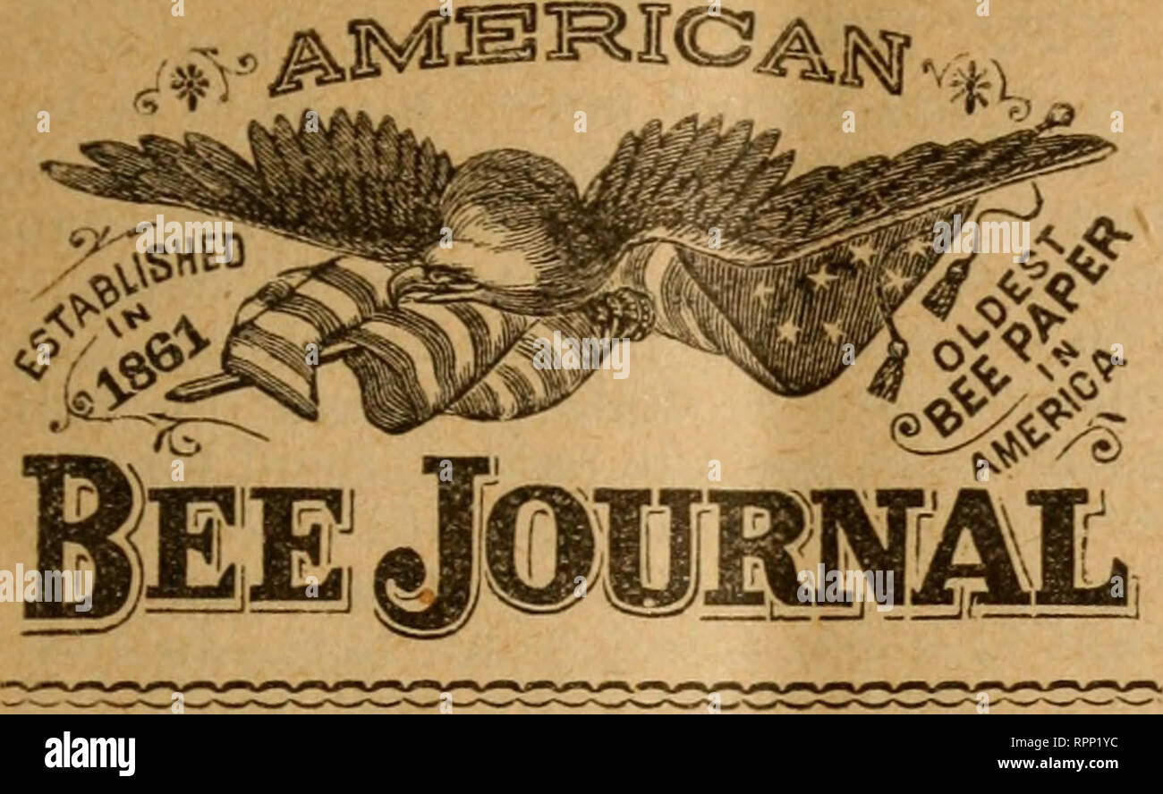 . American bee journal. Bee culture; Bees. AMERICAN BEE JOURNAL. 409. AI&gt;VERT19ii:0 RATES. 20 cents Her line of Sjacej eacli insertion. .o Advertisement inserted for less than $1.00. A line of this type will admit about eight words. One Inch will contain Twei-ve lines. Editorial Notices, 50 cents per line. Special Notices, 30 cents per line. Transient Advertisements must be paid for TN ADVANCE. B I ©, e O tJ N T S 5 Un 10 lines, or more, 4 times, 10 fi; 8 times, 15%; 13 times, 20%; 2G times, 30%; 52 times, 40!?;. On HO lines, or more, 4 times, 15% ; 8 times, 20 % ; 13 times, 25 % ; 26 tim Stock Photo