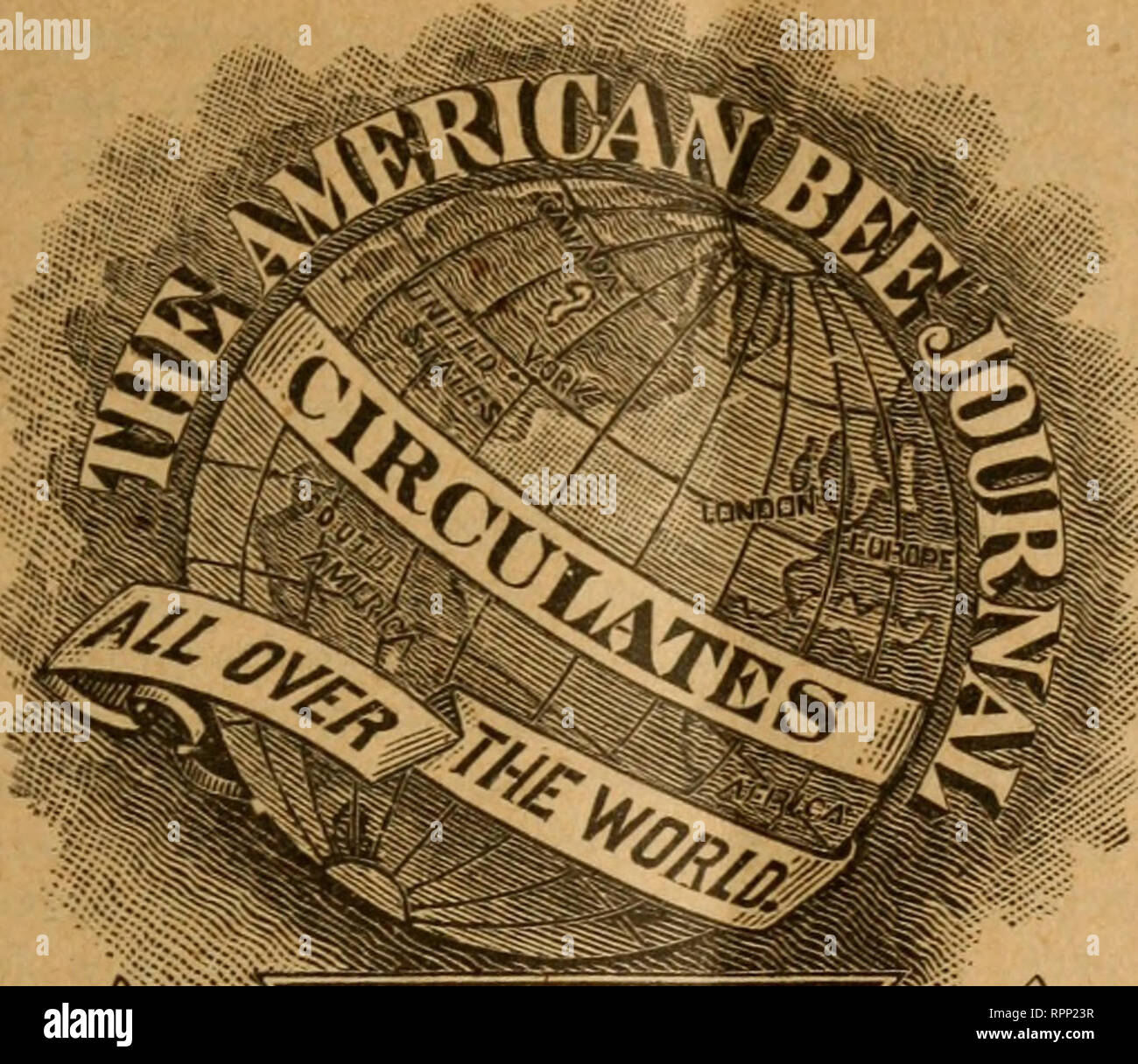 American Bee Journal Bee Culture Bees American Bee