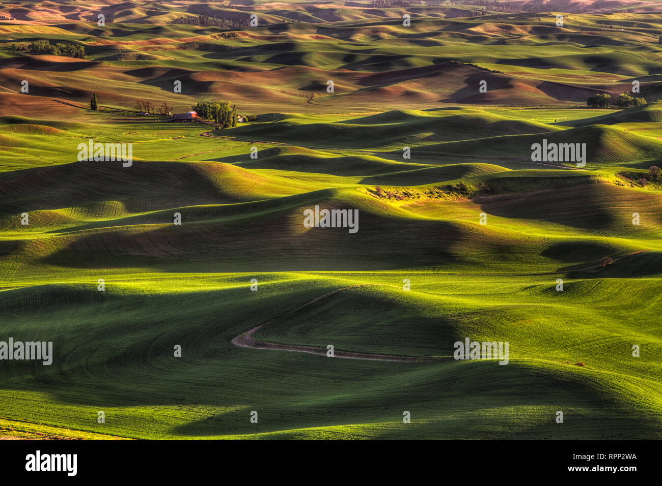 The rolling hills of the Palouse in Eastern Washington as seen from Steptoe Butte State Park. Stock Photo