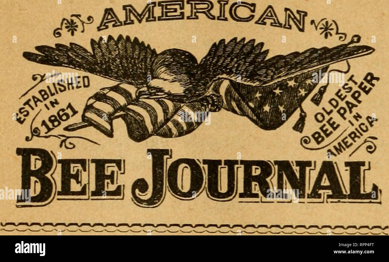 . American bee journal. Bee culture; Bees. 892 AMERICAN BEE JOURNAL... ADTERXISirVC} RATES. 20 cents per line Of Space, eacli Insertion. So Advertisement inserted for less than $1.00. A line of this type will admit about eight words. One Inch will contain Twelve lines. Editorial Notices, 50 cents per line. Special Notices, 30 cents per line. Transient Advertisements must be paid for IN ADVANCE. PISCOUNTS.-On 10 lines, or more, 4 times, 10 ^ cent.; 8 times, 15 ^ cent.; 1.3 times, 20 ^ cent.; 26 times, 30 f cent.; 52 times, 40 ^ cent. S&gt;n 20 lines, or more, 4 times, 15 ^ cent.; 8 times, 20 ^  Stock Photo