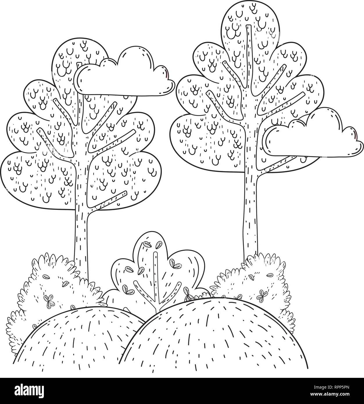 beautiful forest landscape scene Stock Vector Image & Art - Alamy