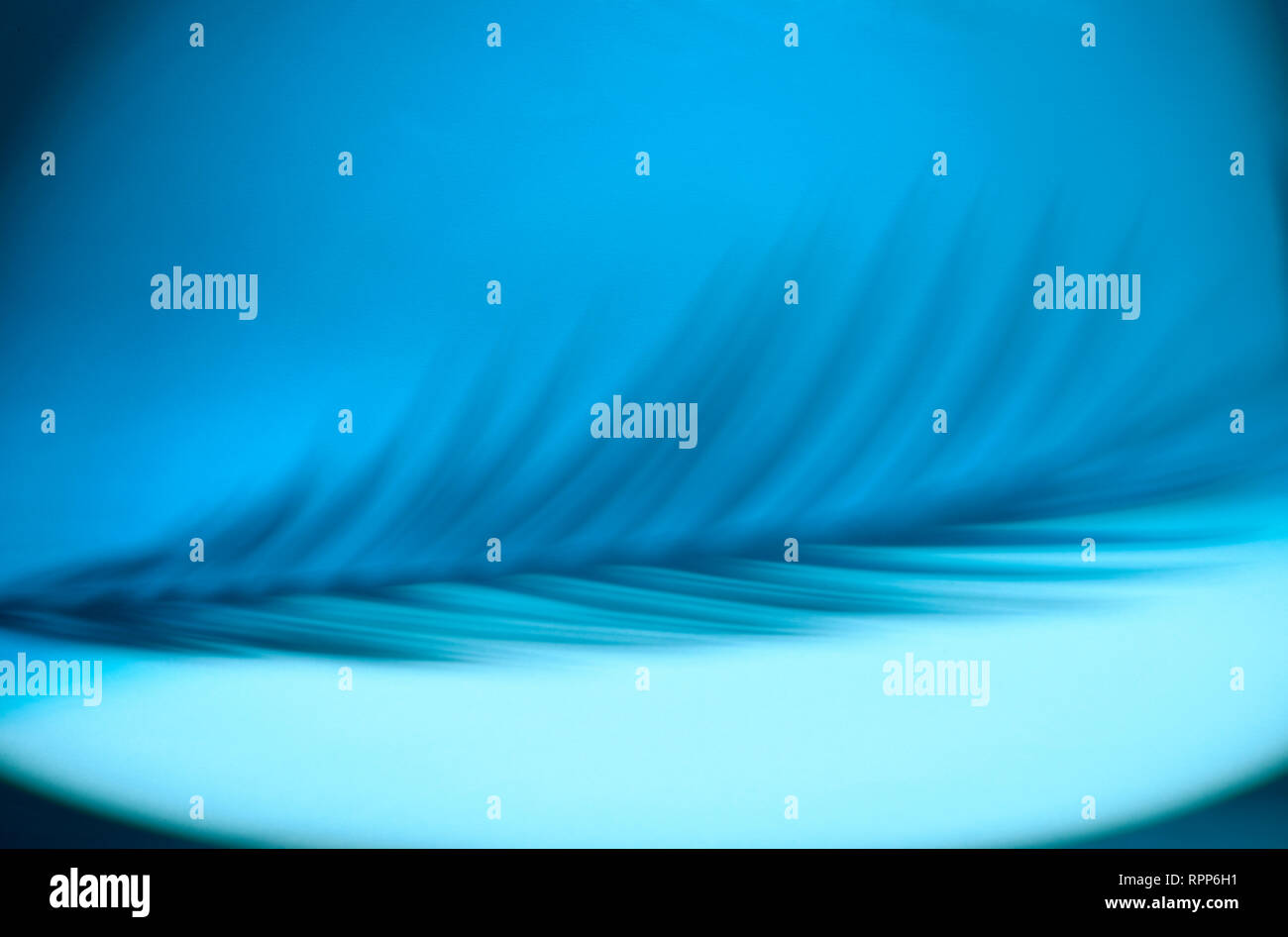 Shaded area in the shape of a tropical leaf. Dappled light. Blue background. Stock Photo