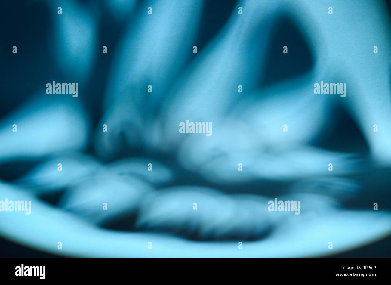 Shaded area in the shape of a tropical leaf. Dappled light. Blue background. Stock Photo