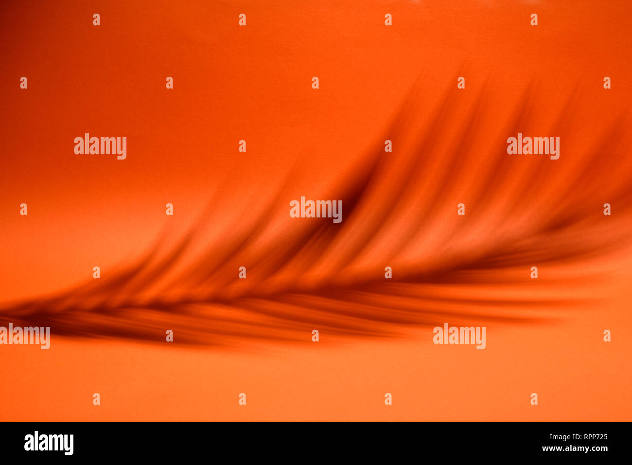 Shaded area in the shape of a palm leaf. Dappled light. Warm orange background. Stock Photo
