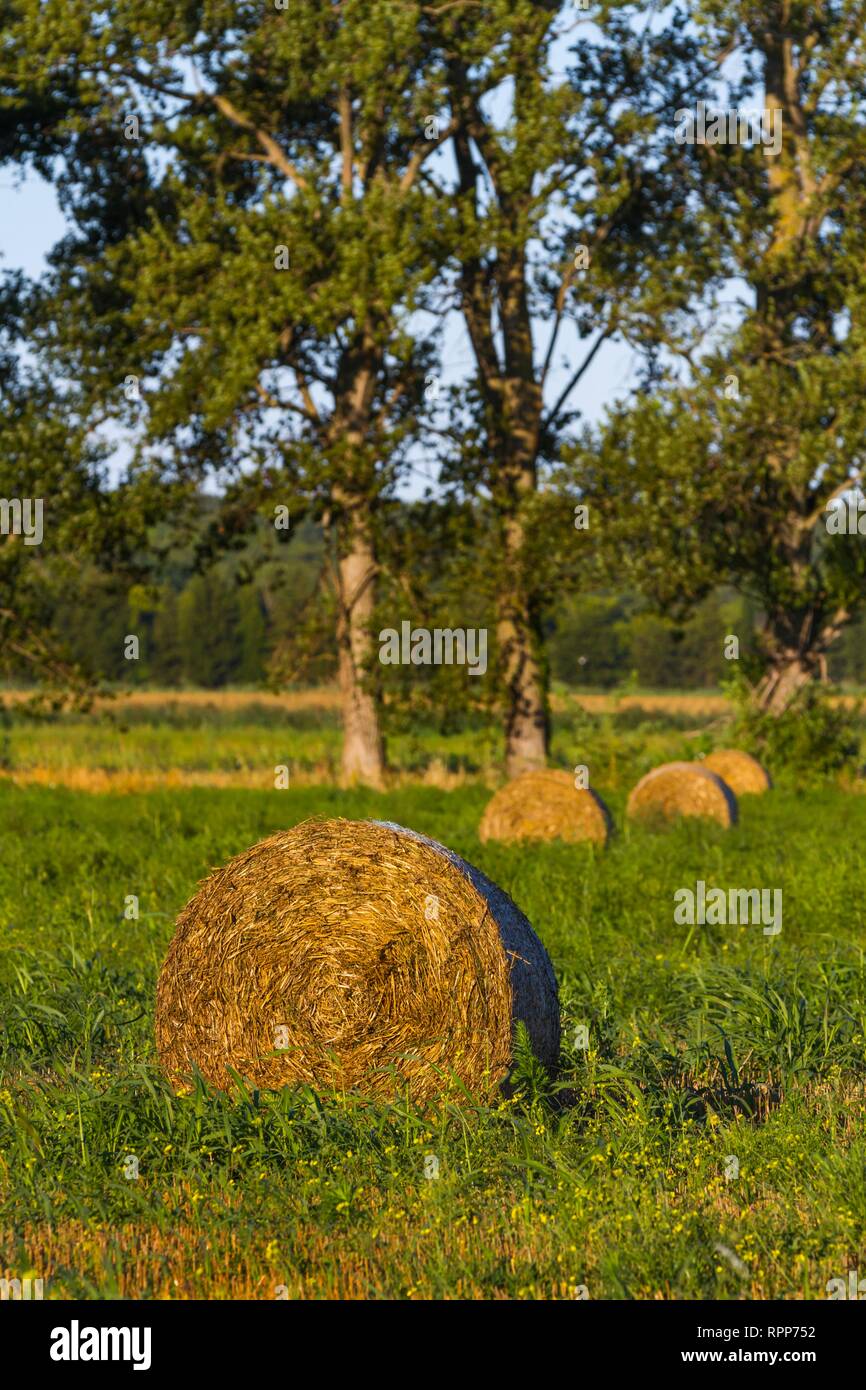 Near Biograd in Dalmatia Croatia Stock Photo