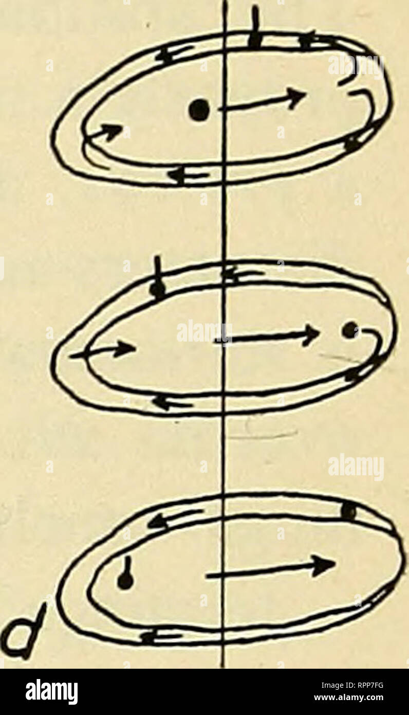 Amoeboid Movement High Resolution Stock Photography And Images Alamy